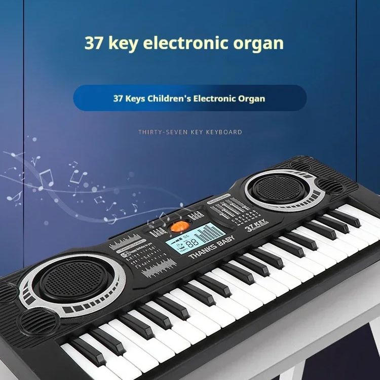 Children's Electronic Keyboard - Musical Instrument Harmonium 评论和价格