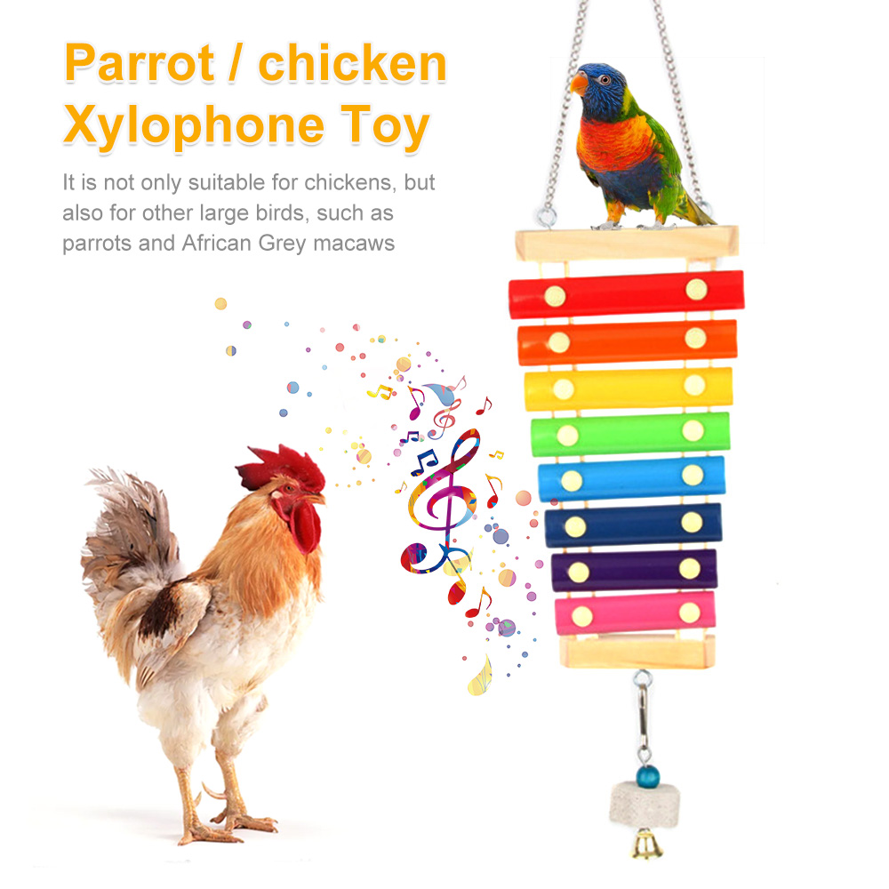 Bird Chicken Xylophone Toy Woo - Musical Instrument Harmonium 评论和价格