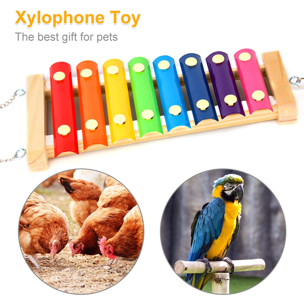 Bird Chicken Xylophone Toy Woo - Musical Instrument Harmonium 评论和价格