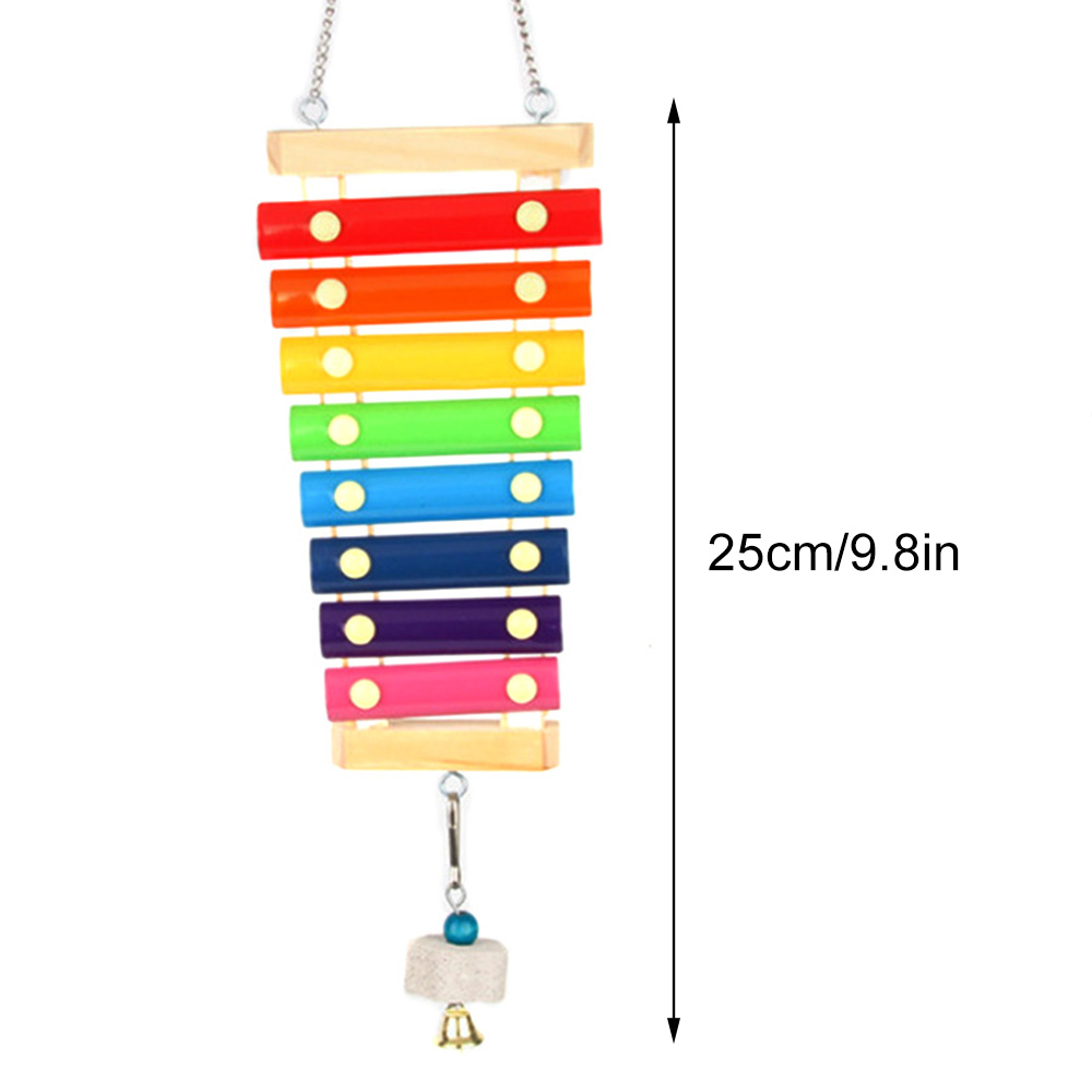 Bird Chicken Xylophone Toy Woo - Musical Instrument Harmonium 评论和价格