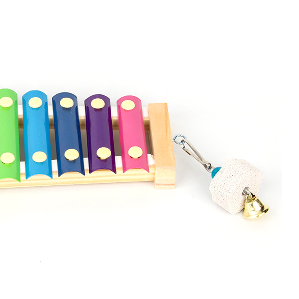 Bird Chicken Xylophone Toy Woo - Musical Instrument Harmonium 评论和价格