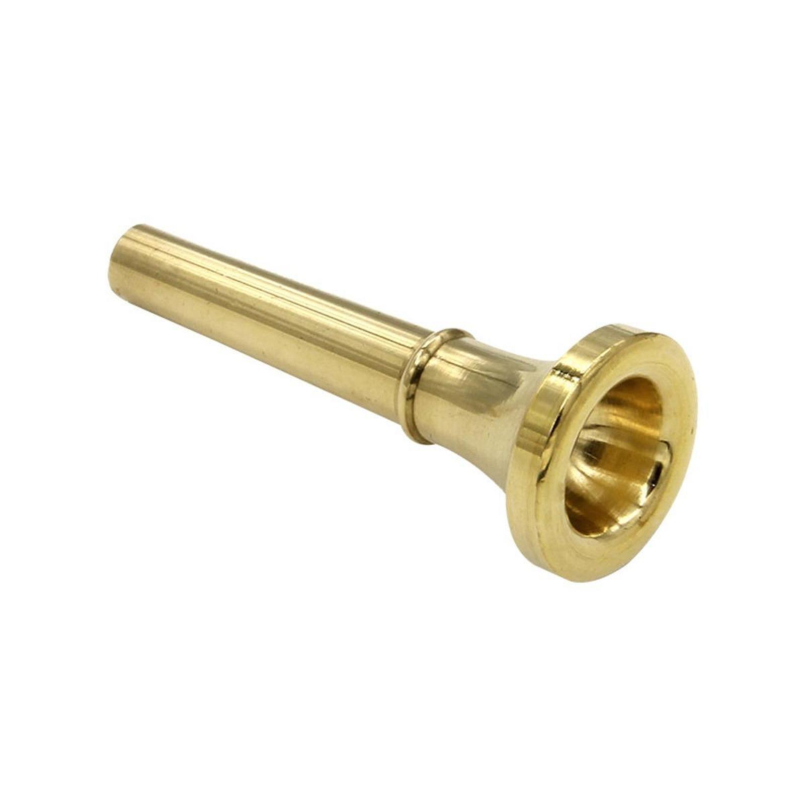 Elegant C Flat Bugle Polished  - Musical Instrument Bugle 评论和价格